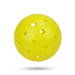 40 Holes Pickleball Outdoor Professional